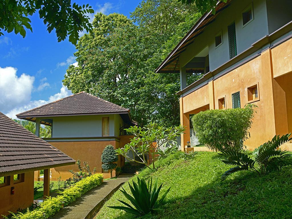 Abad Green Forest Thekkady Hotel Kumily Eksteriør billede