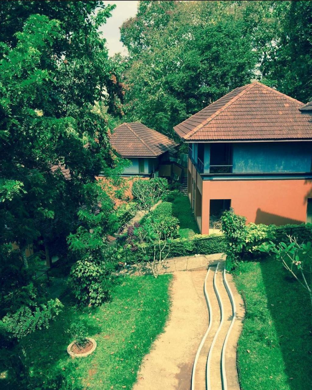 Abad Green Forest Thekkady Kumily Eksteriør billede