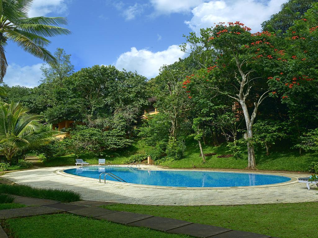 Abad Green Forest Thekkady Hotel Kumily Eksteriør billede