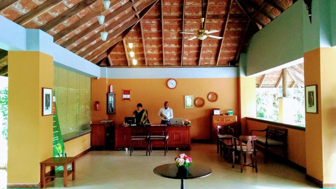 Abad Green Forest Thekkady Kumily Eksteriør billede
