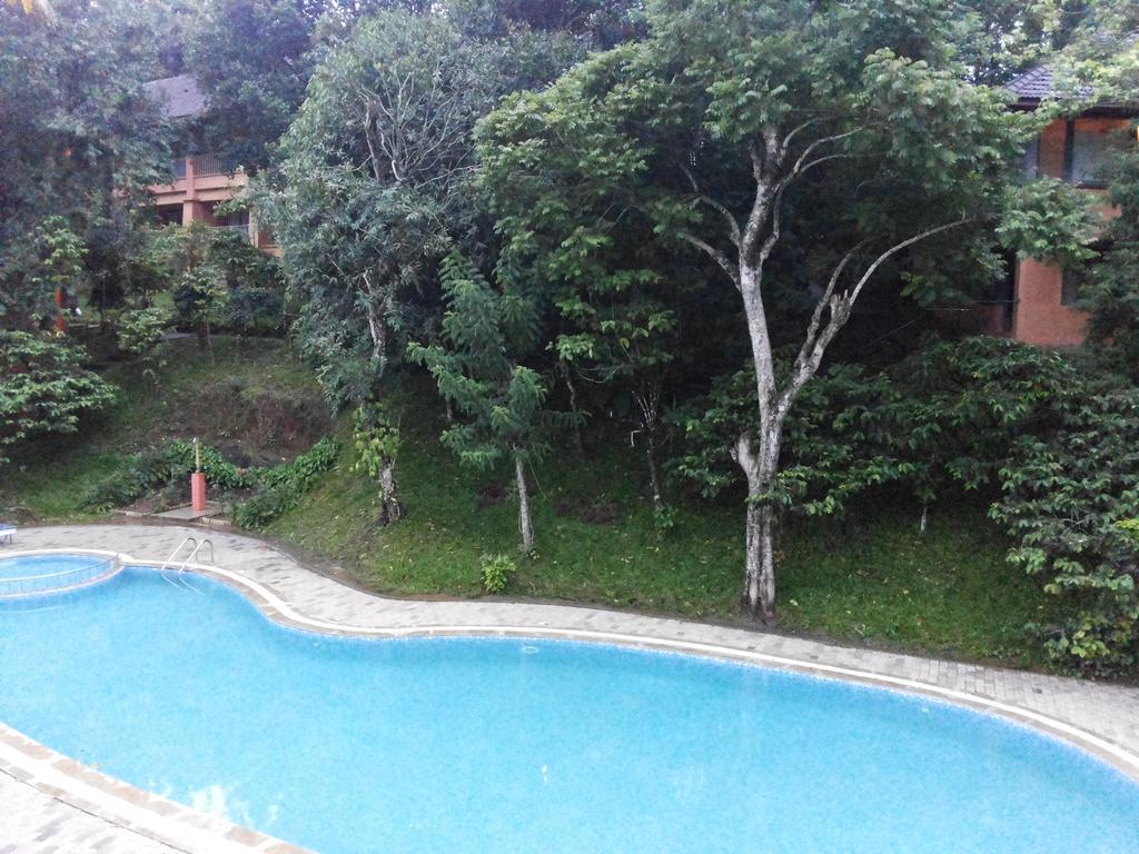 Abad Green Forest Thekkady Kumily Eksteriør billede